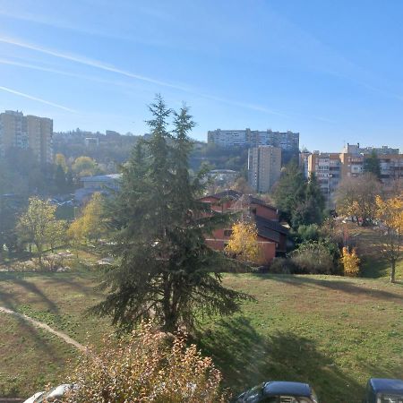 Apartman 23 Belgrade Extérieur photo