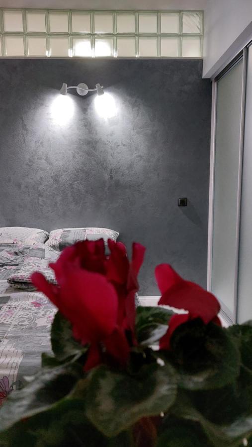 Apartman 23 Belgrade Extérieur photo